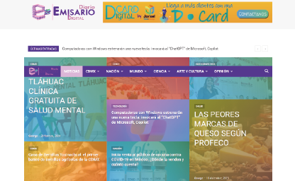 P-profesional